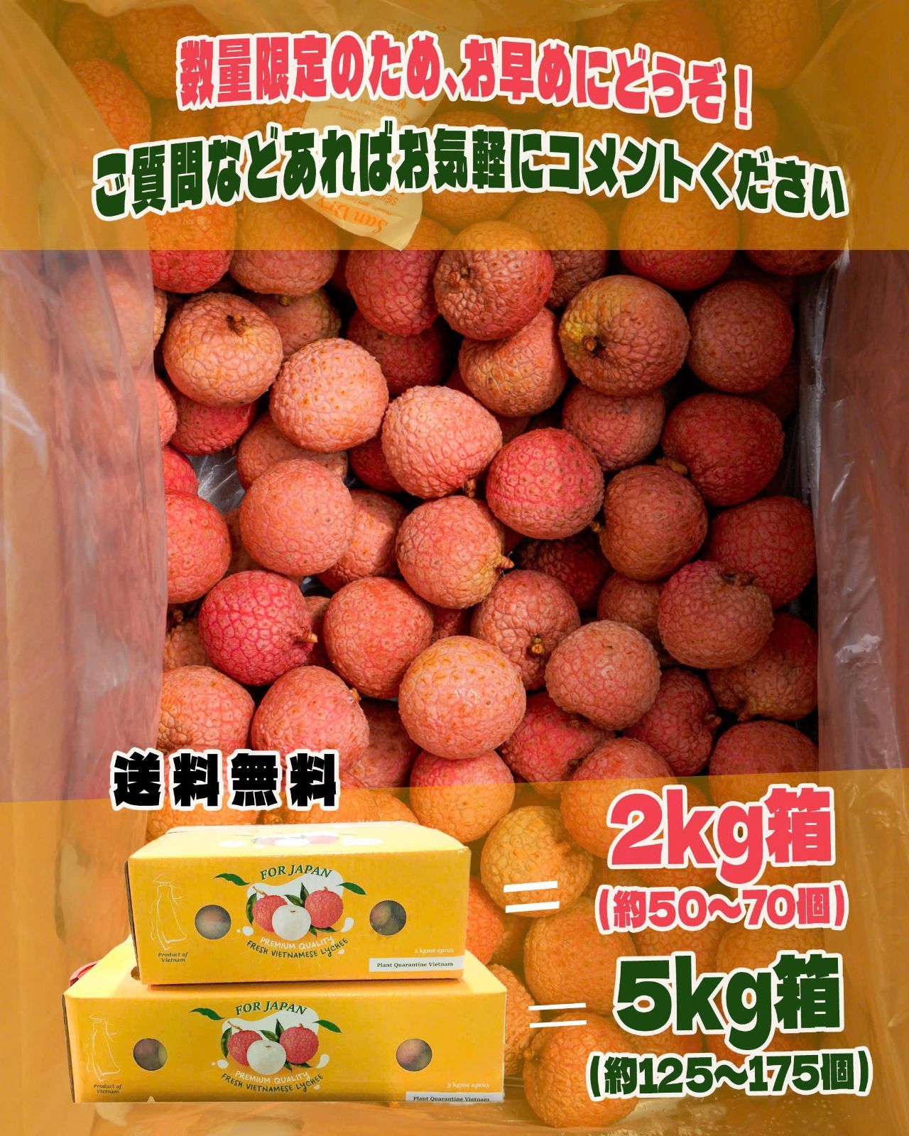 10KG - ベトナム産生ライチ - Lychee Free Ship