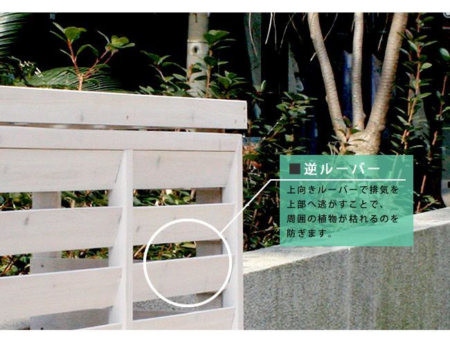 天然木