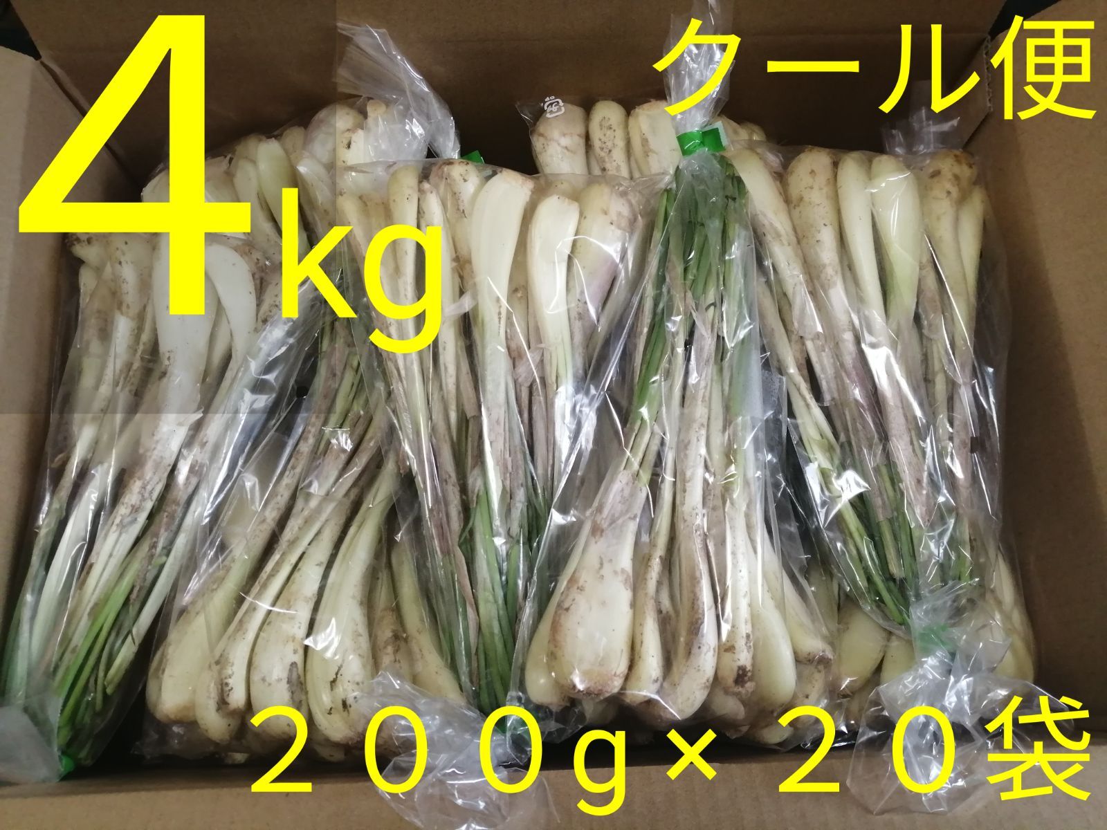 【スポット大特価】【業務用】沖縄県産島らっきょう茎あり約４kg【クール便無料】