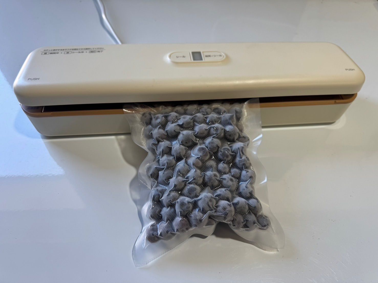 専用　ブルーベリー　無農薬　約3400g➕おまけ 無農薬ブルーベリー400g - メルカリ