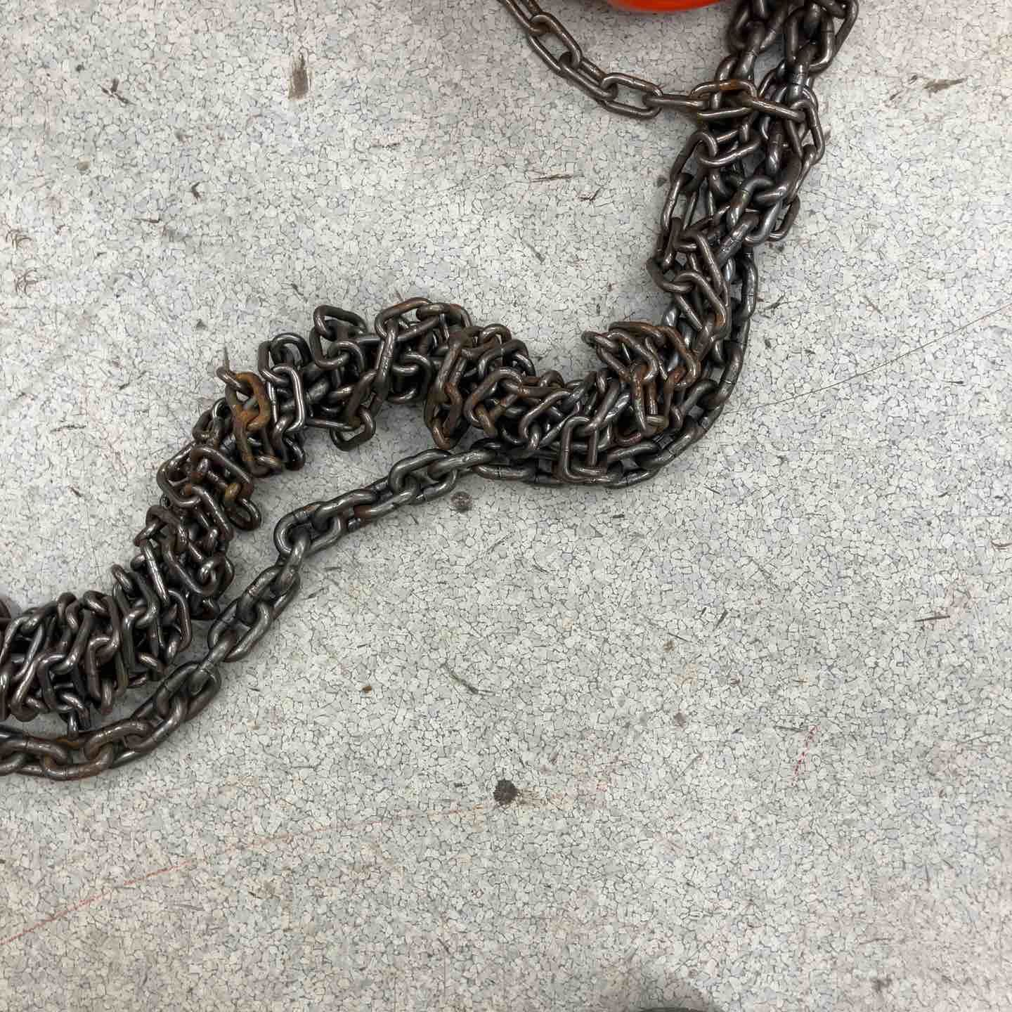 象印 エレファント