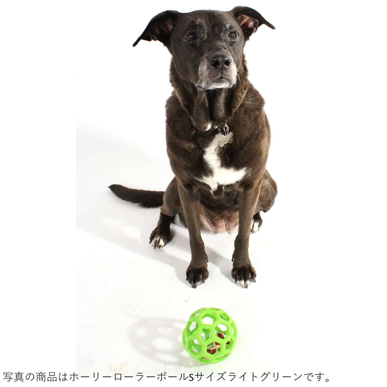 【色: ライトブルー】JW PetJWペット 犬用おもちゃ ホーリーローラーボー