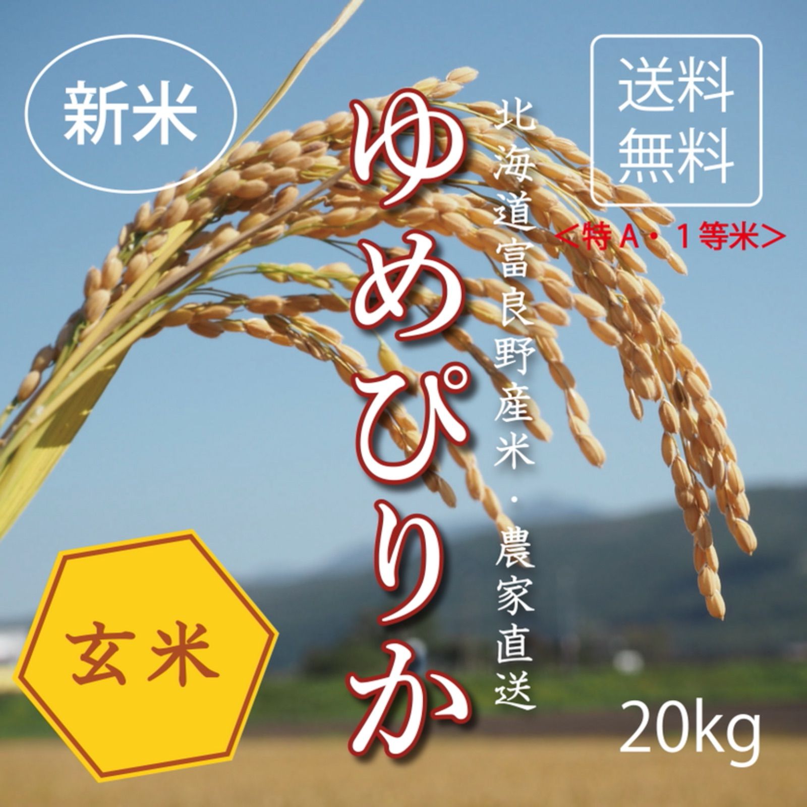 令和４年コシヒカリ　玄米20kg   米農家直販　値下げ②