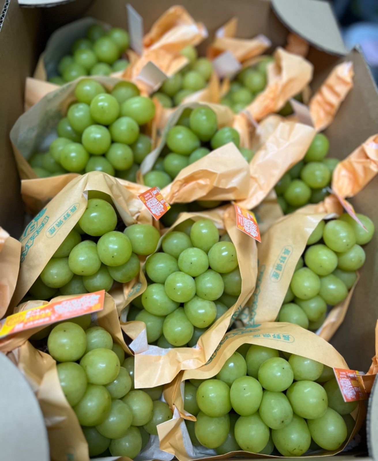 高級シャインマスカット 節約 高級大粒シャインマスカット