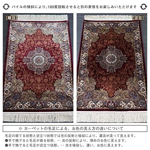 レッド_50×80 cm［玄関マット］ サヤンサヤン 144万ノット ペルシャ柄