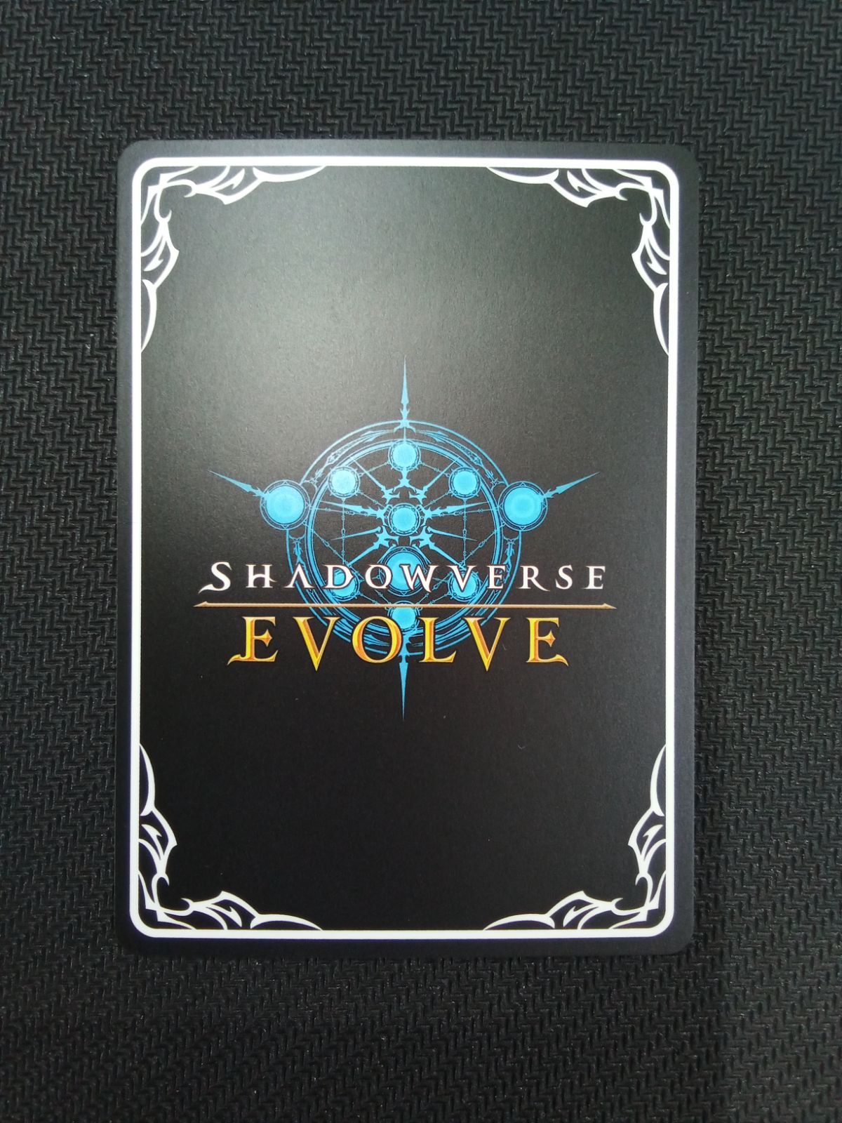 ShadowverseEVOLVE　ゼルガネイア　セット Shadowverse EVOLVE スペシャルスターターセット 2025