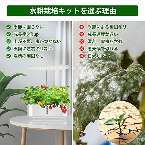 新着商品】土を使わず栽培 3.6L大容量水槽 高さ調節可能 家庭菜園 植物