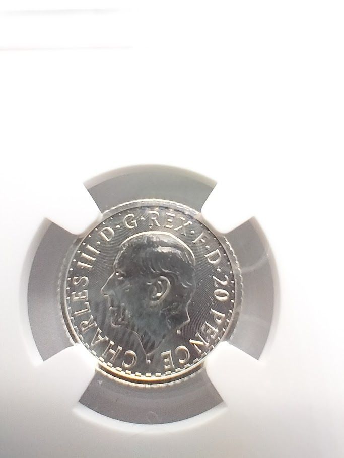 NGC MS69 2024 1/10オンス .999シルバー ブリタニア NGC MS69 2024 20ペンス 1/10オンス .999 シルバー 英国
