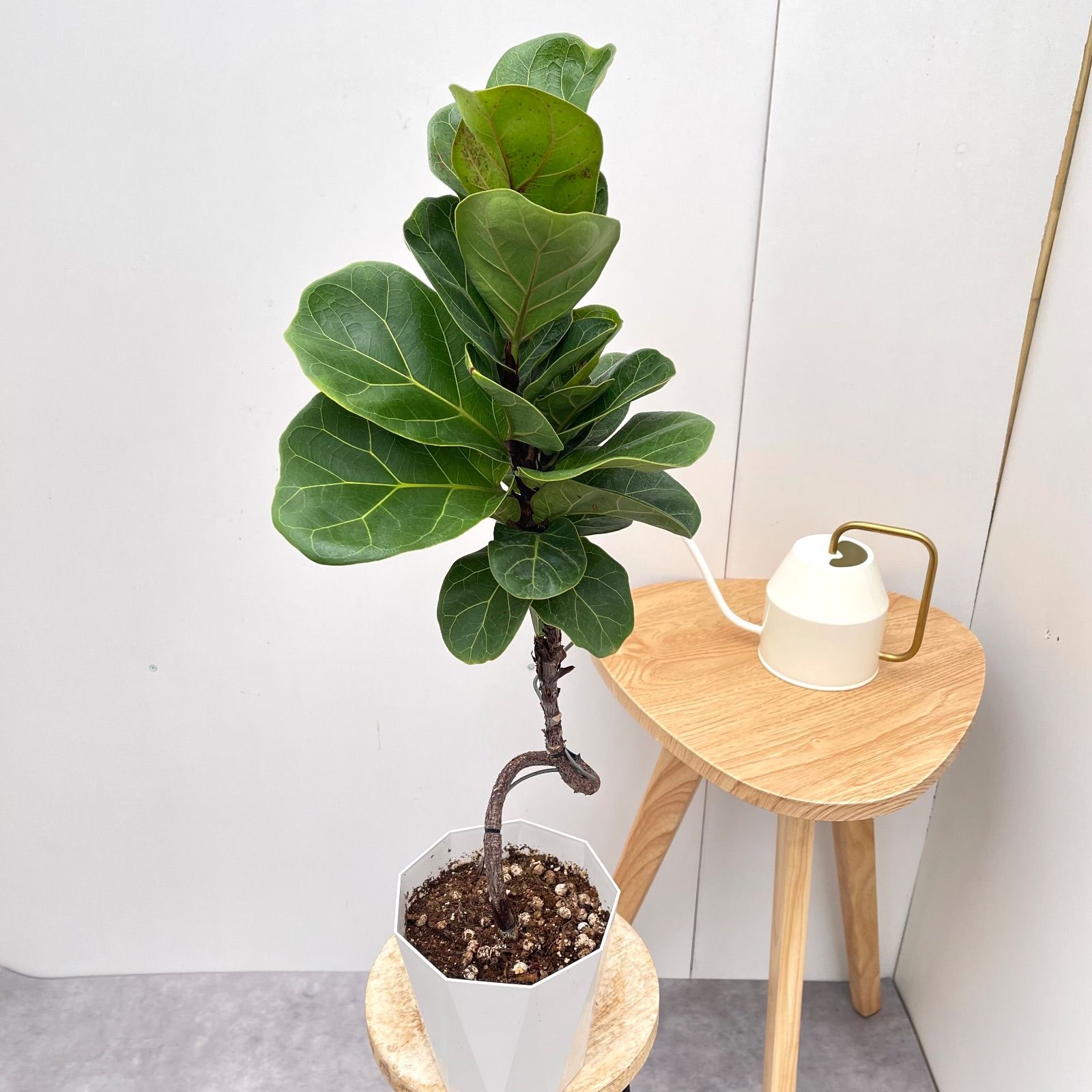 翡翠 ショップ 豆型ペンダント 花チャーム付き 翡翠 豆型ペンダント 花