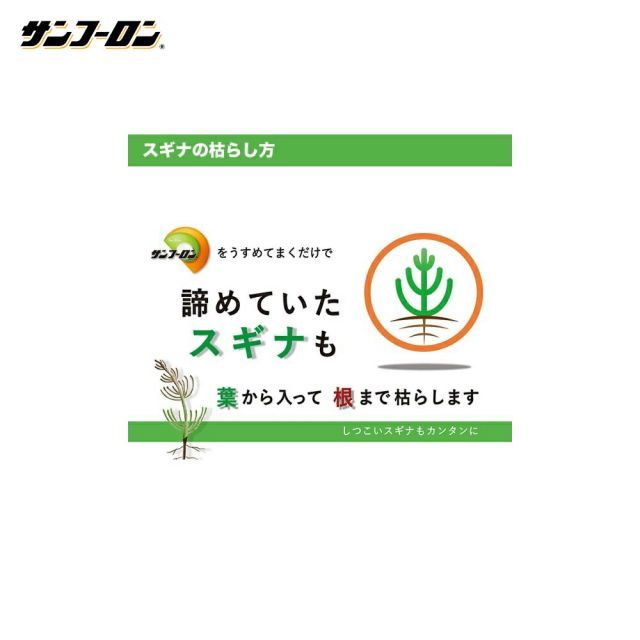 5L 1本