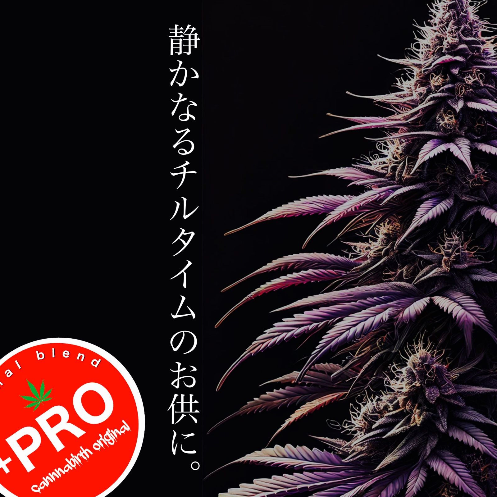 ハイブリッド「KUSH on KUSH」 調合CBD専門店カンナバース
