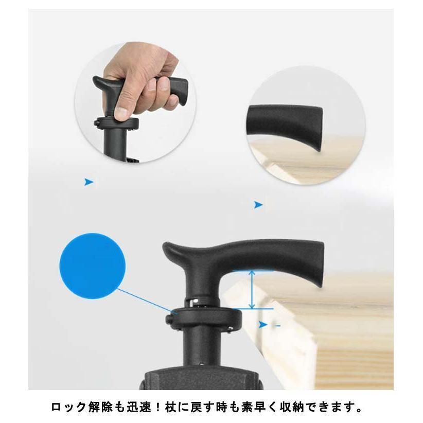 杖