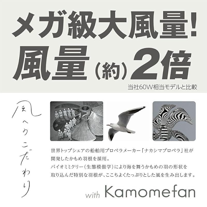 節電に ドウシシャ