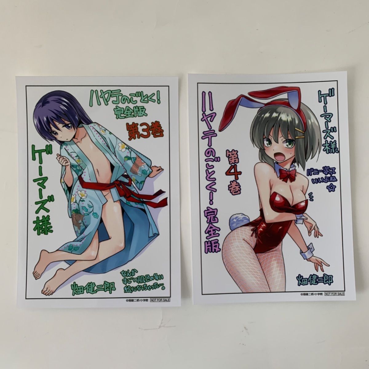 ハヤテのごとく! 完全版 3巻4巻 ゲーマーズ 特典 A4クリアファイルと