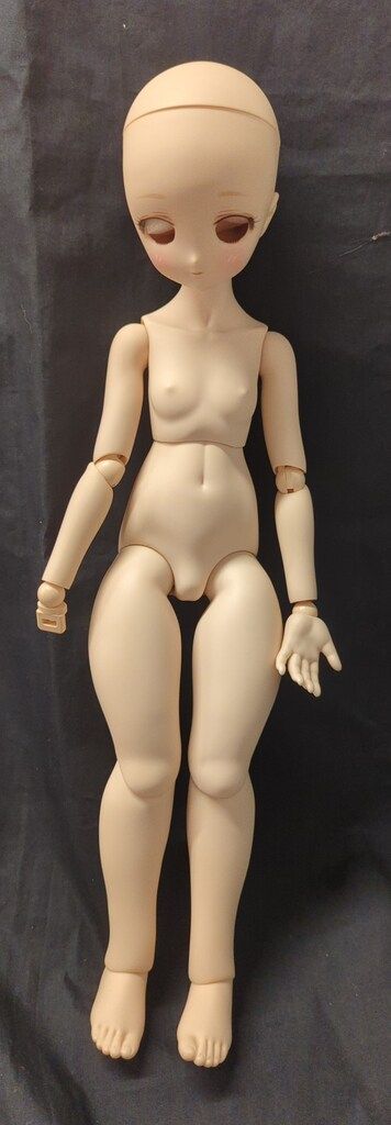 ボークス ドルフィードリーム ドリームチョイス MDD もちあし 