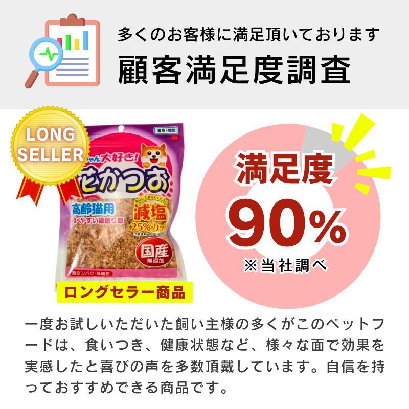 老猫