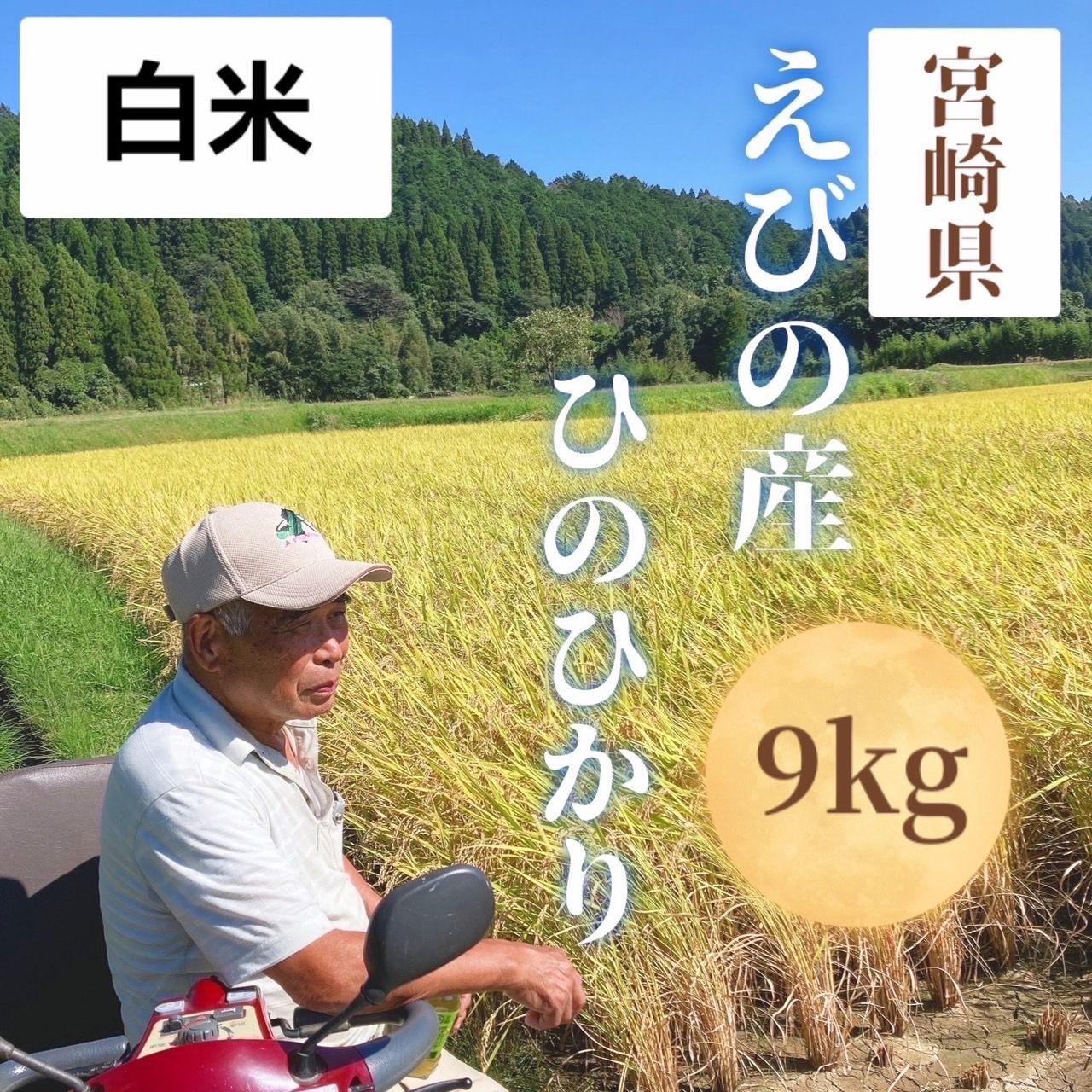 食品 令和6年新米 ヒノヒカリ