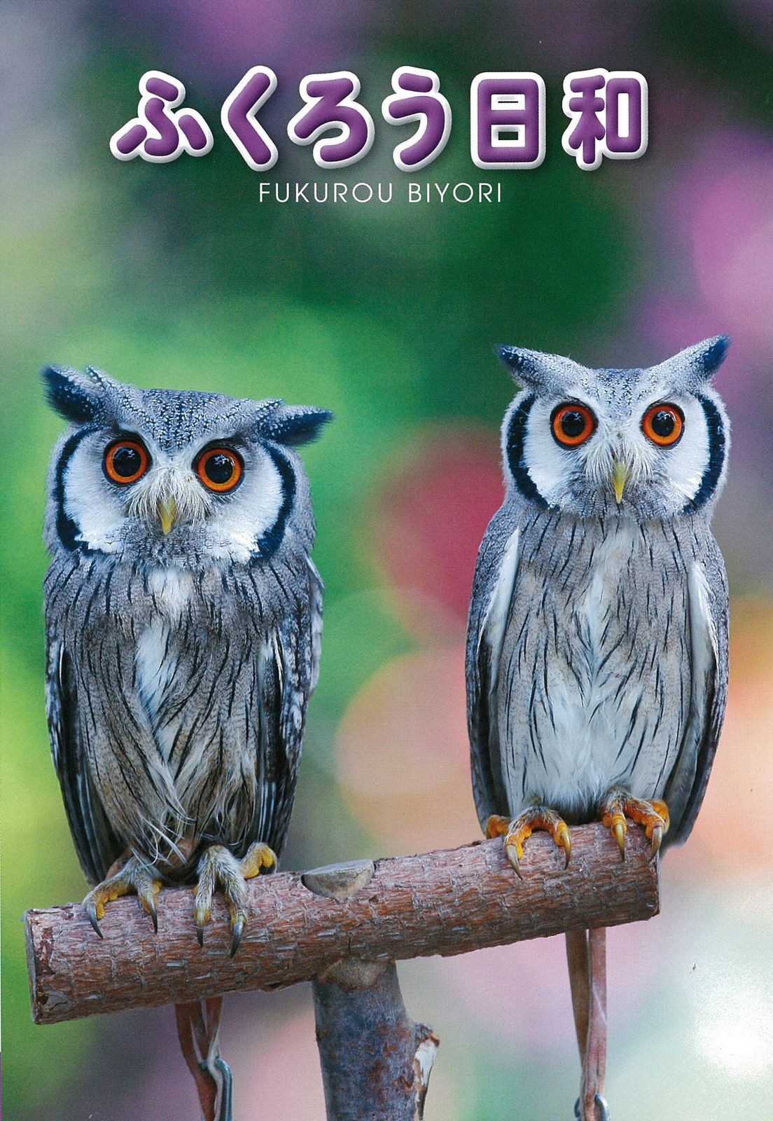 武比古 純銀 ふくろう 値下げ不可！武比古作 純銀 木製額 ふくろう 4号