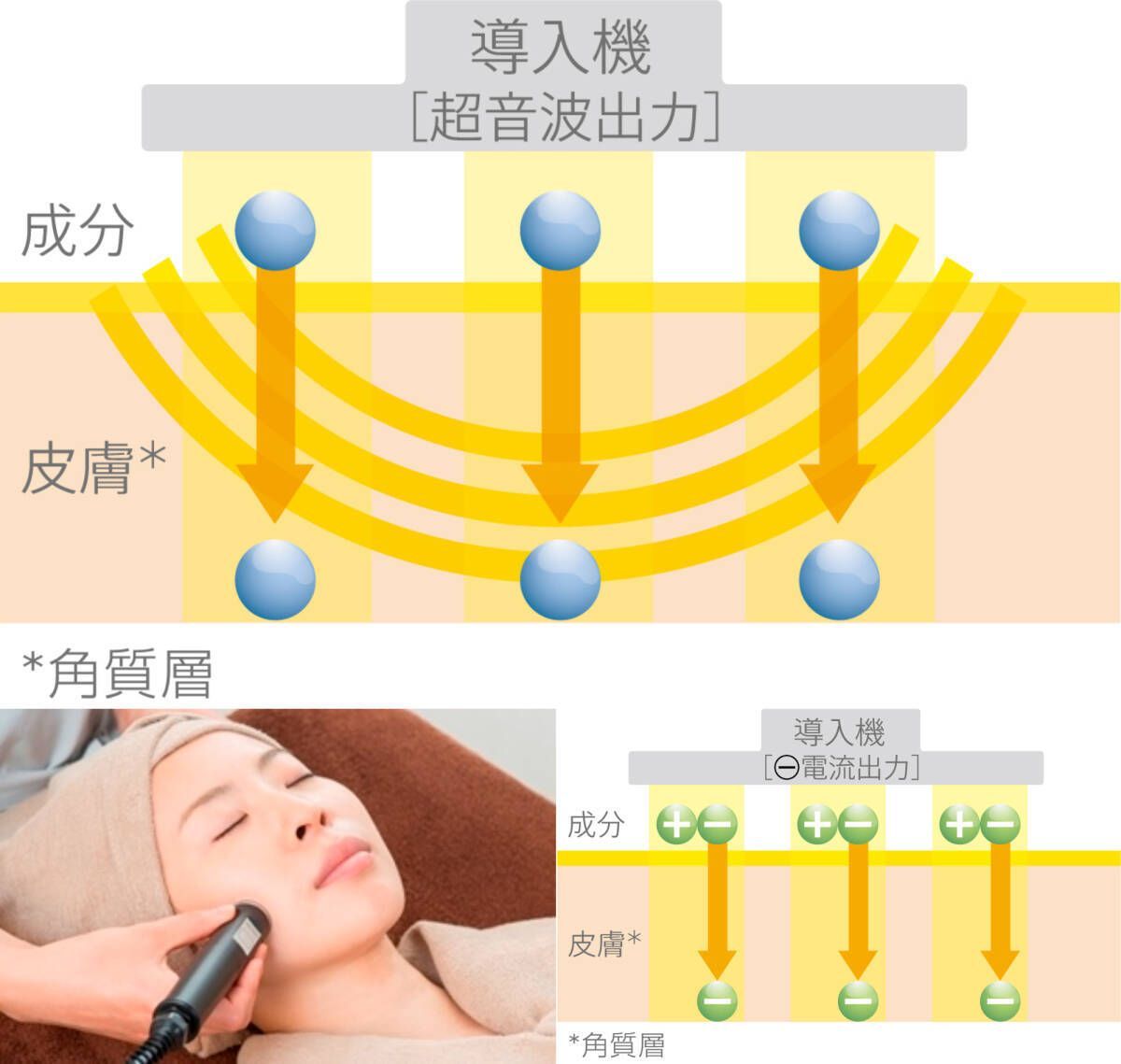 参考約66万円 エンビロン 業務用総合美顔器 イオンザイム DF-III