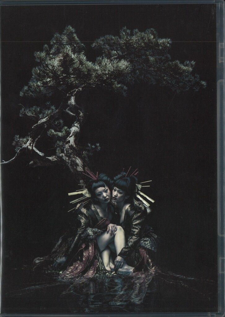 the GazettE 通常盤(2DVD) the GazettE LIVE TOUR 12-13