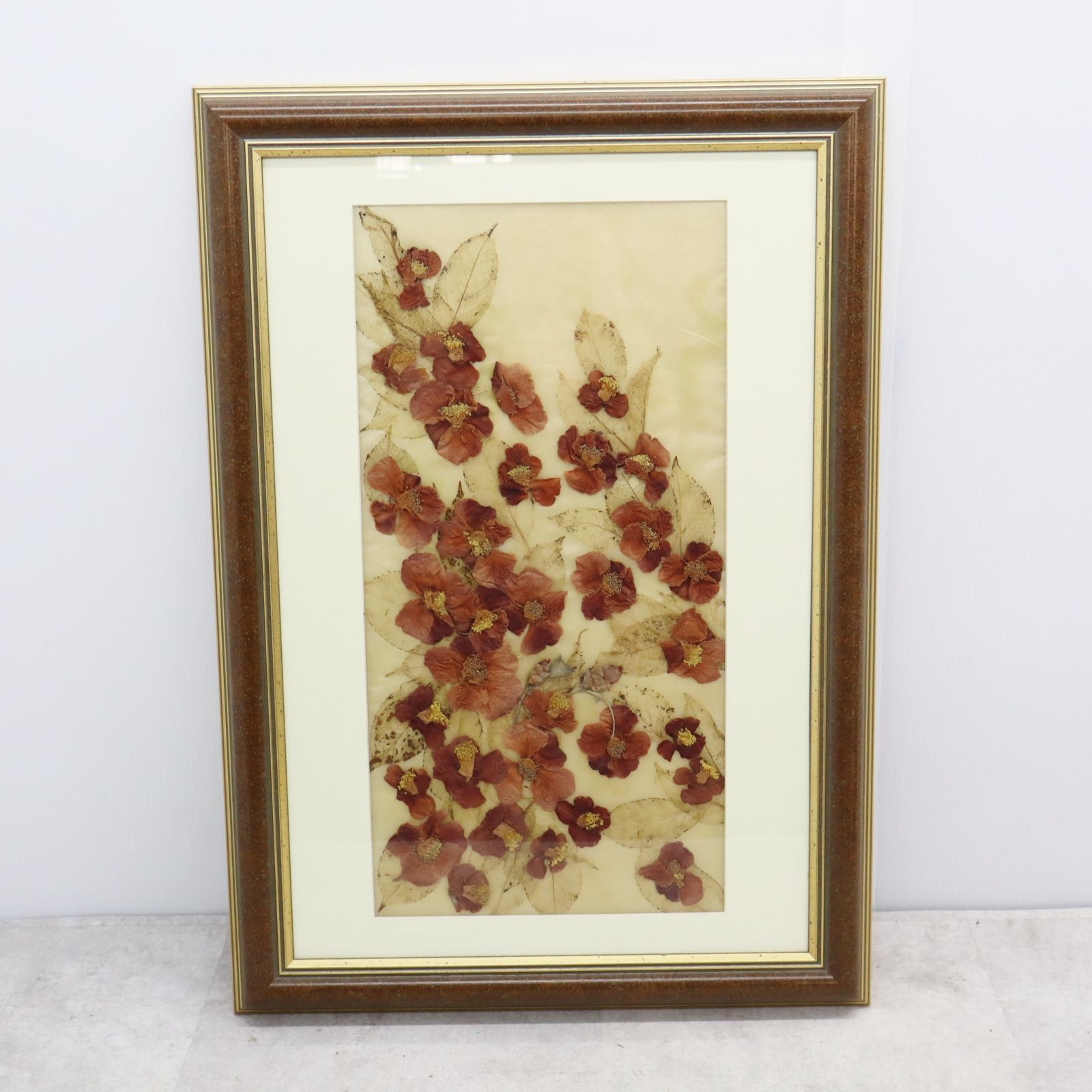 限定SALE，人気SALE ▽インテリアに! 約68.5×48.5×3.5㎝｜額入り 押し花 ｜ アートフラワー 押花 ヴィンテージ ハンドクラフト 木製額　アクリル■P3336 その他