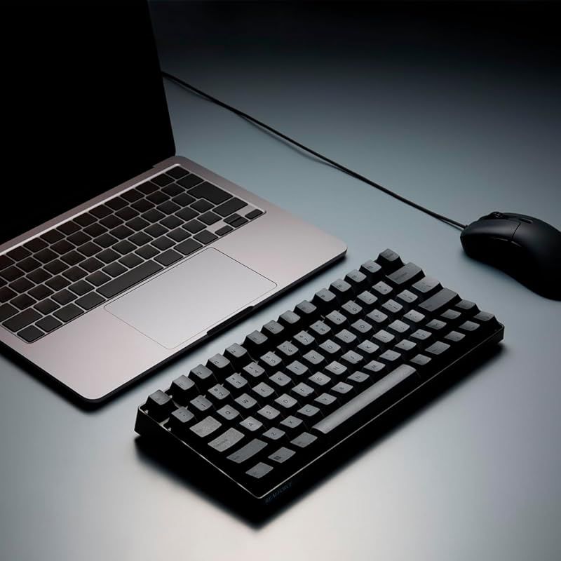 REALFORCE RC1 キーボード 70% ブラック 英語配列 キー荷重 45g
