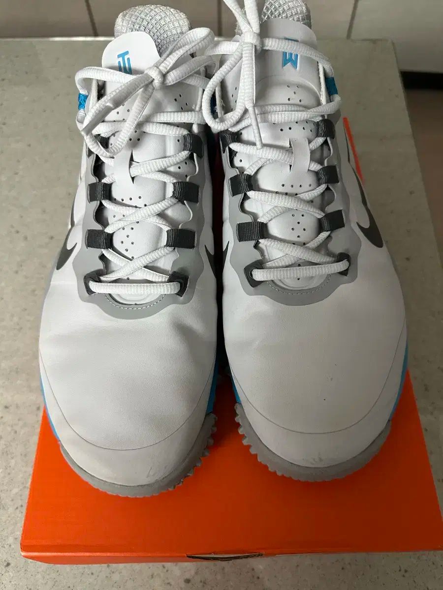 【雷市場（ポンジャン）商品韓国直送】 NIKE(ナイキ) タイガー ウッド ゴルフシューズ 285