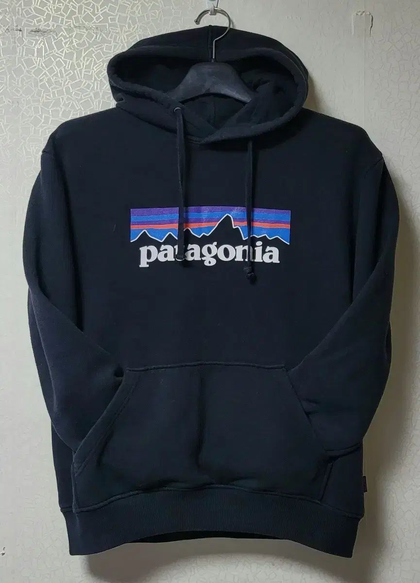patagonia パタゴニア patagonia コットン混 裏起毛 パーカースウェットシャツ メンズ M L100