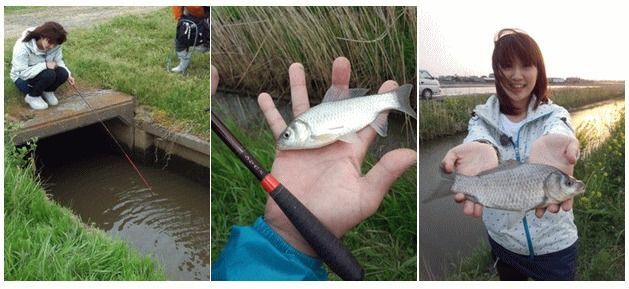 ダイワ ひなた 9尺 / 淡水万能小物竿 釣具 daiwa お買い得品