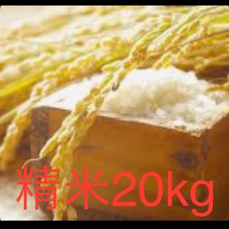9月4日発送29年度滋賀のコシヒカリ玄米20kg　10kg✖2袋お米送込 IRIS OHYAMA 令和6年産 米 20kg 送料無料 千葉県産 こしひかり
