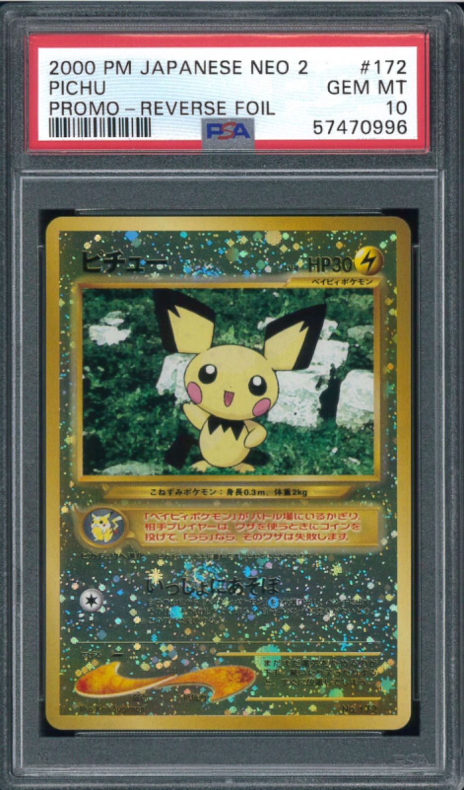 ポケモンカード ピチュー プレミアムファイル 旧裏 旧裏面 PSA10
