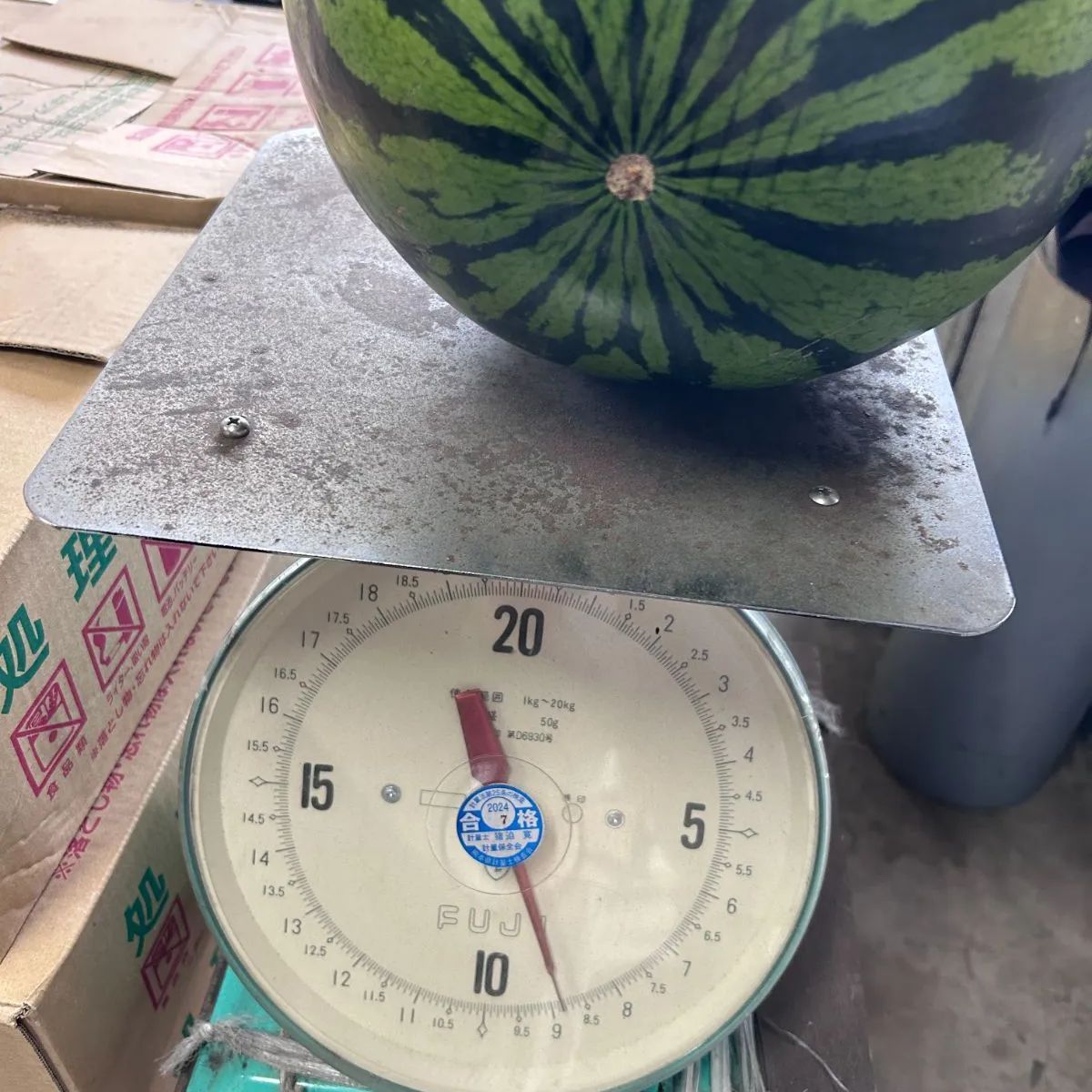 大玉
