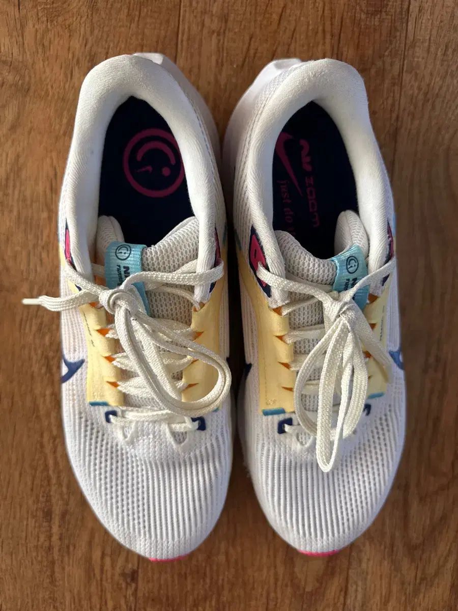 NIKE ナイキ ペガサス 40 260