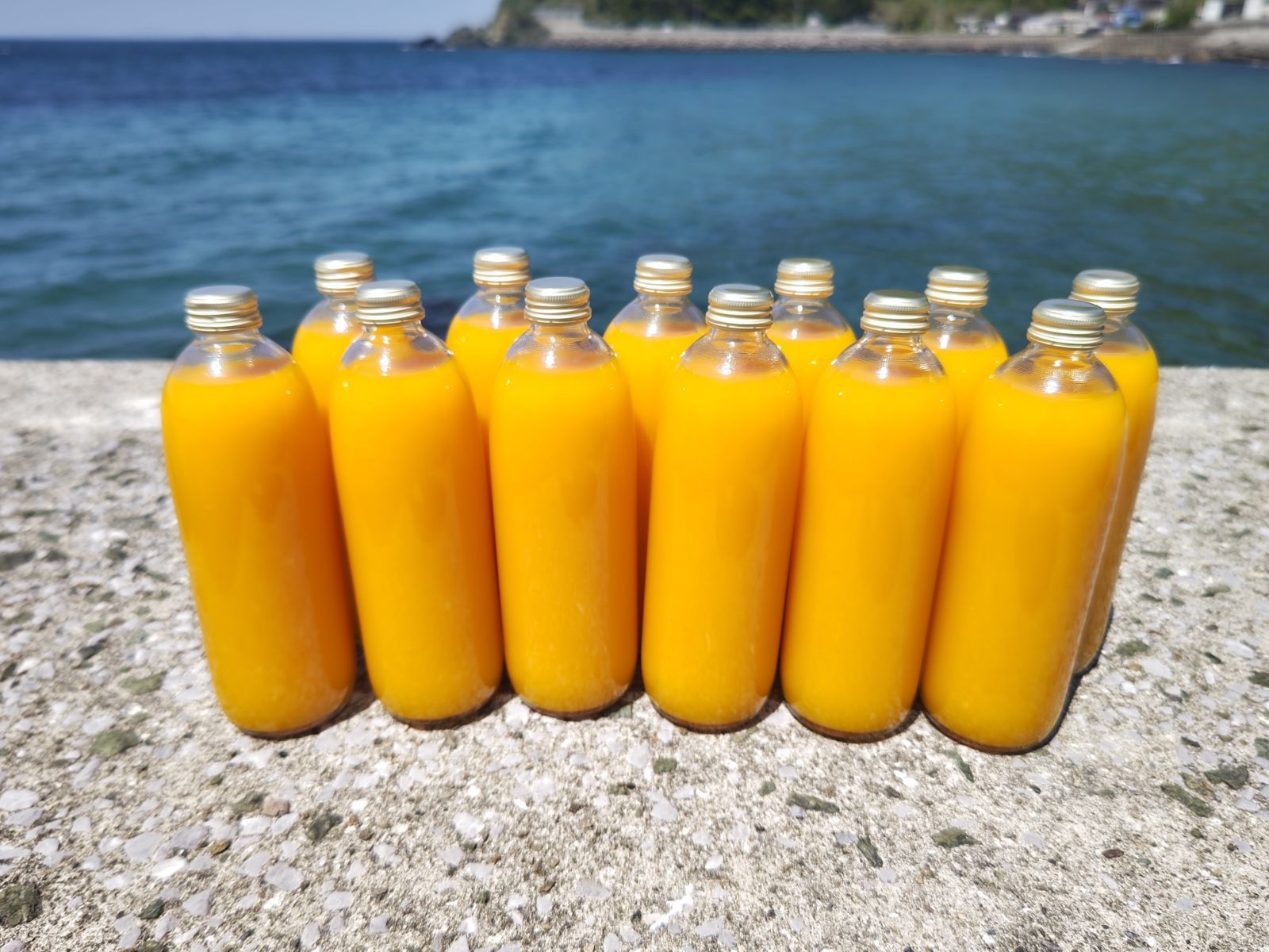 500ｍｌ×１２本