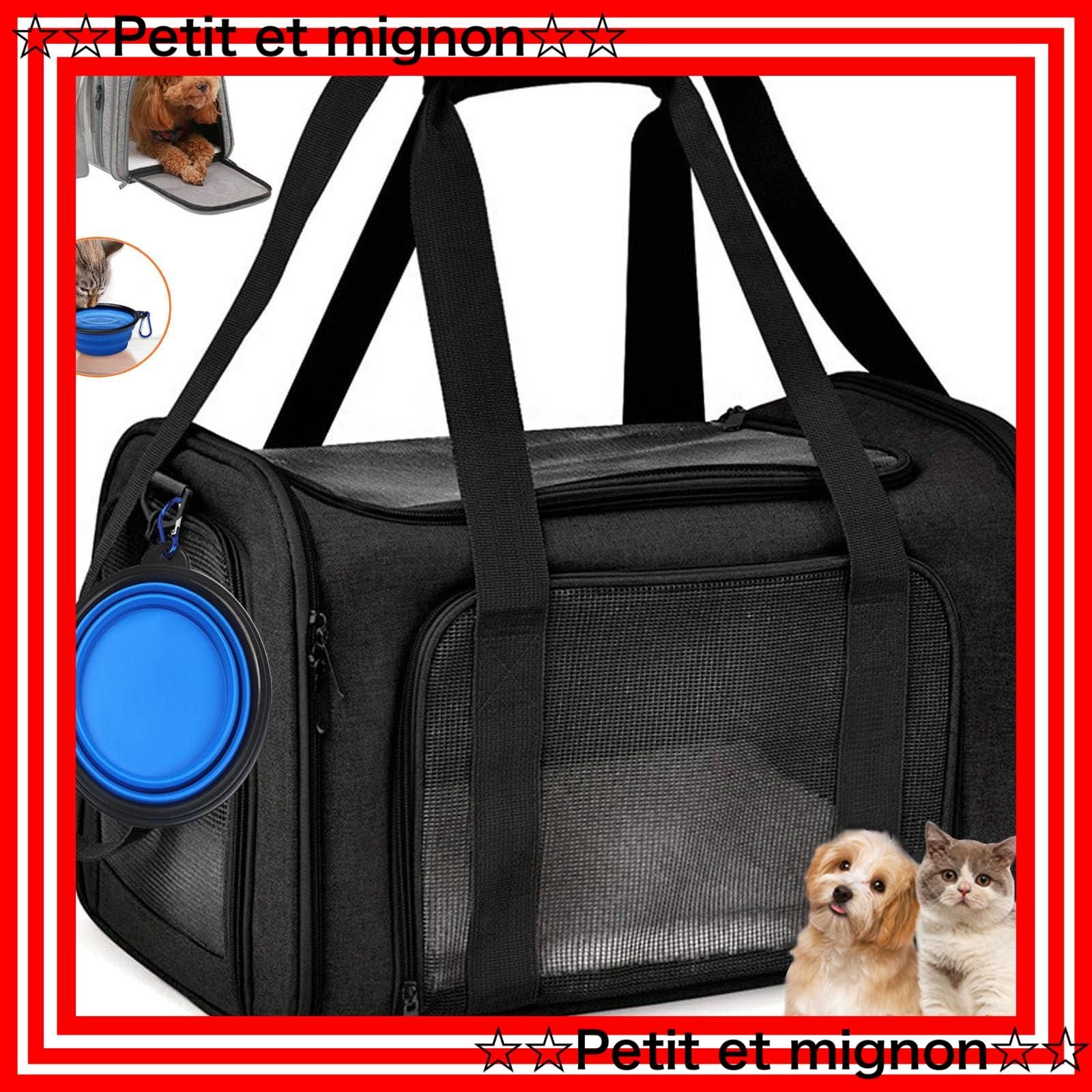 hanoia ショップ ベトナム高級インテリアショップ ティーキャディ 茶葉