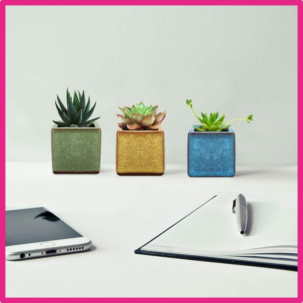 ☆スタッフおすすめ☆SquareIceCrack 植木鉢 6個入り Lewondr