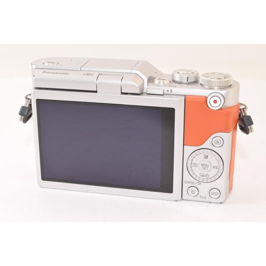 ミラーレス一眼カメラ 2505046