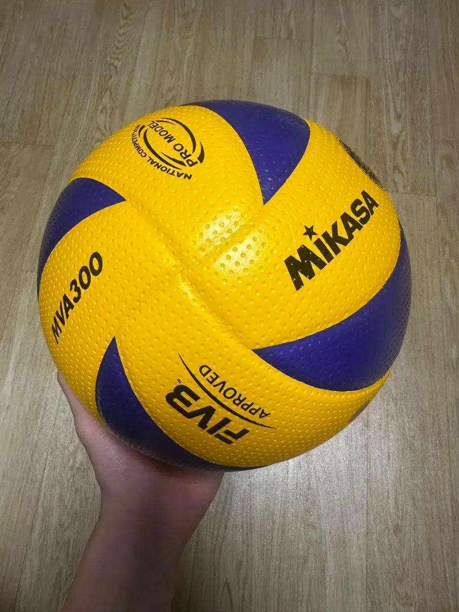 ハイキュー烏野高校・音駒高校Mikasa 検定バレーボール 5号球2個セット