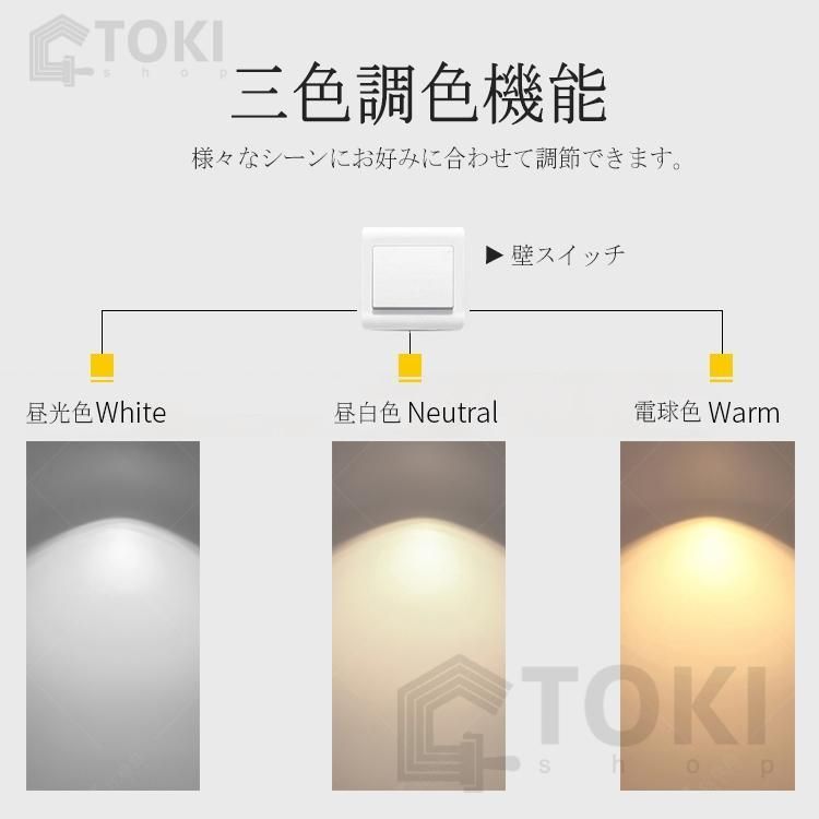 天井照明 北欧