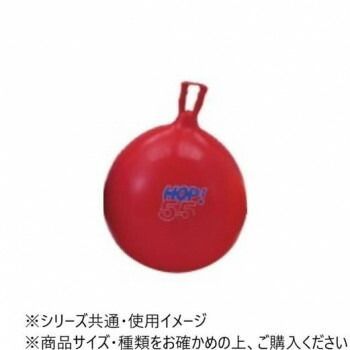 ダンノ DANNO ホップボール 55 D5451