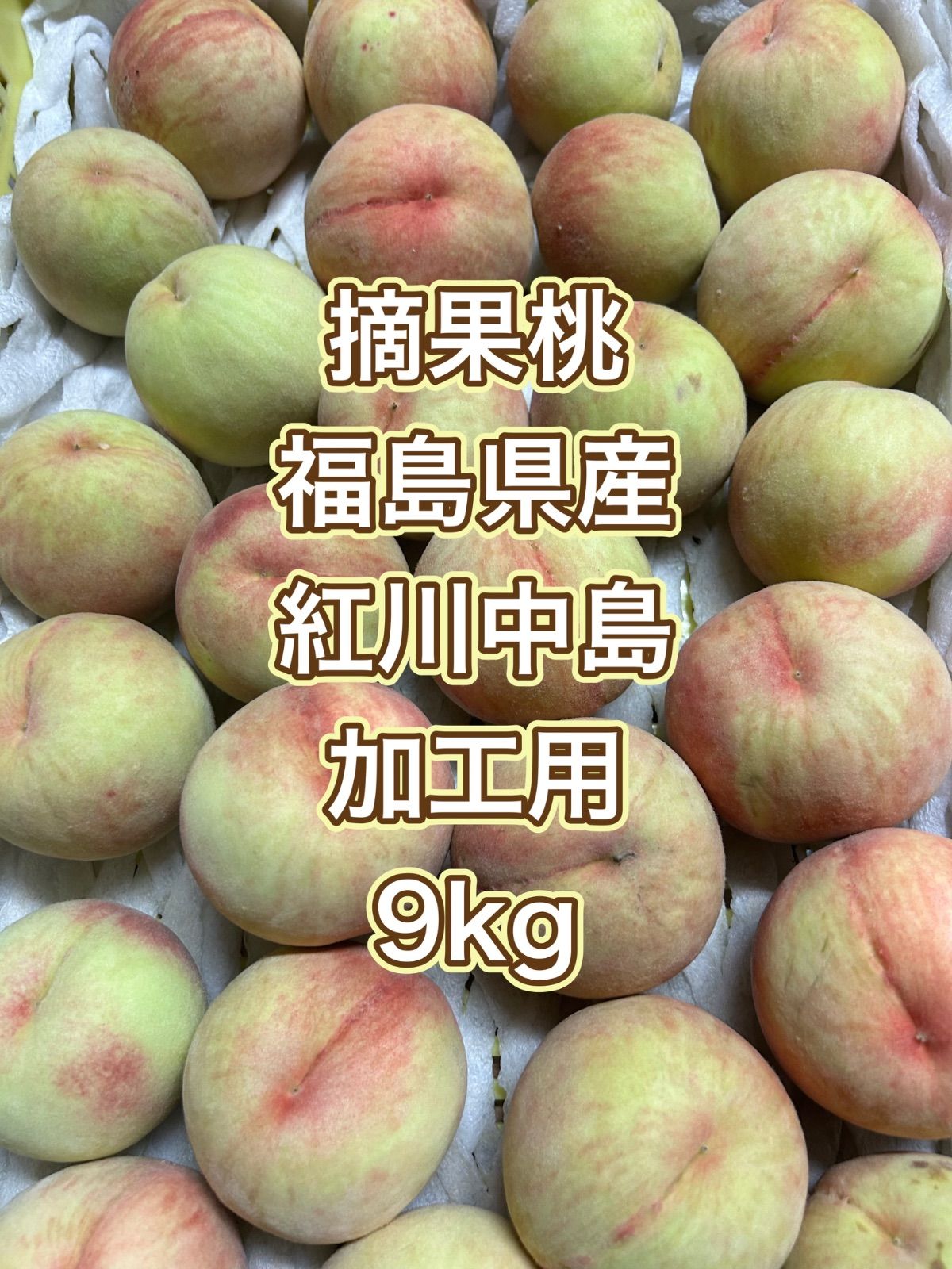 摘果桃 福島県産 紅川中島 加工用 9kg コンビニATM支払い不可