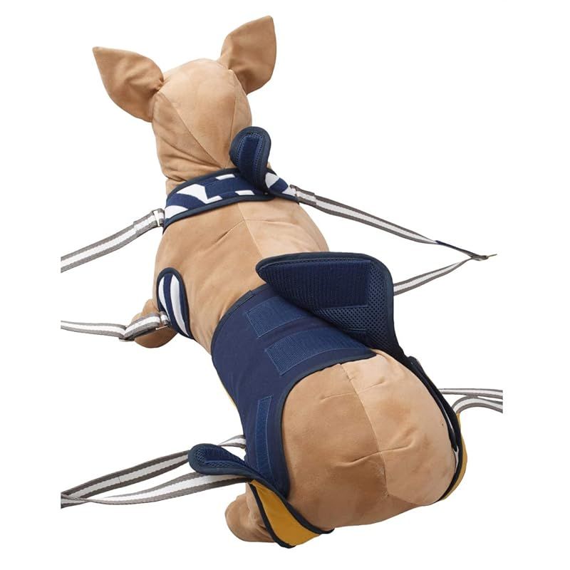 犬