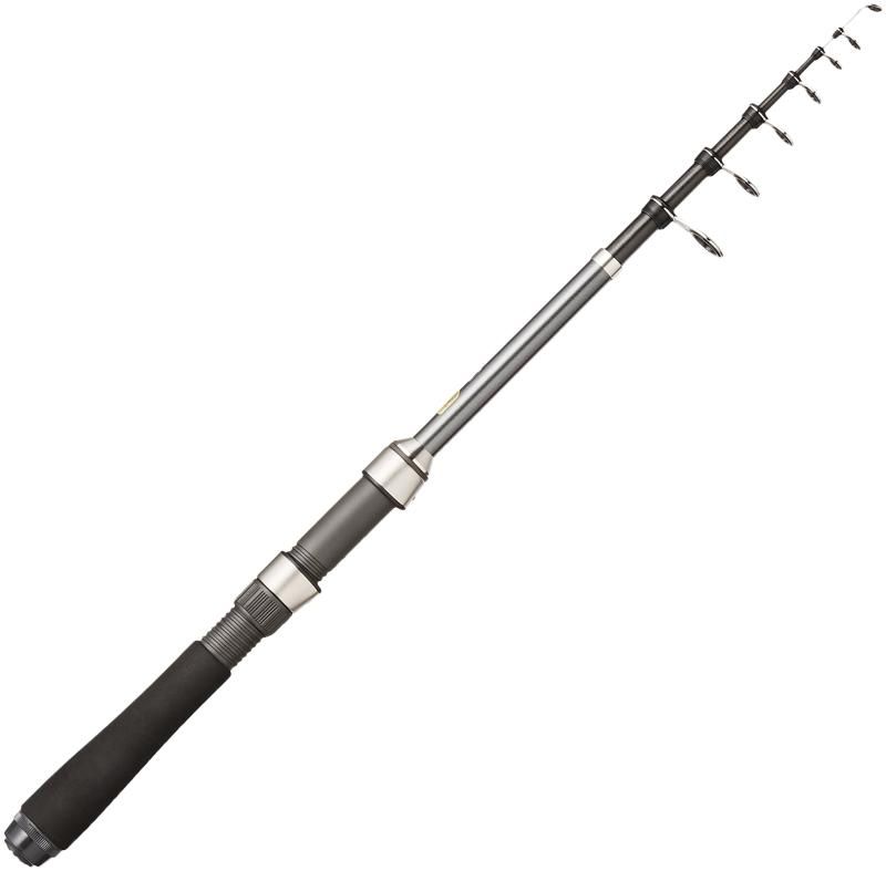 新品即決 シマノ(SHIMANO) スピニング/ベイト兼用 ロッド 17 ホリデー その他