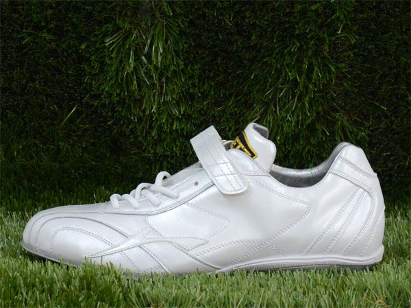 プロステイタスWH 野球