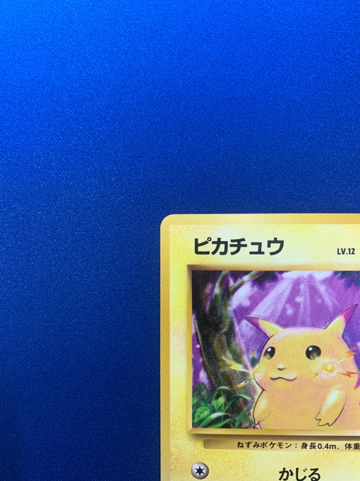 良品 ポケモンカード ライチュウ 旧裏 025 初版 マークなし - ポケモン 