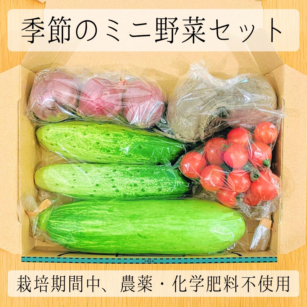 季節のミニ野菜セット（宅急便コンパクト）　メルカリ