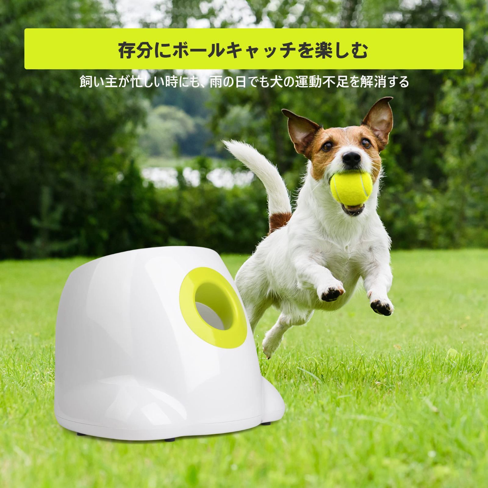 小型犬～中型犬用 知育玩具