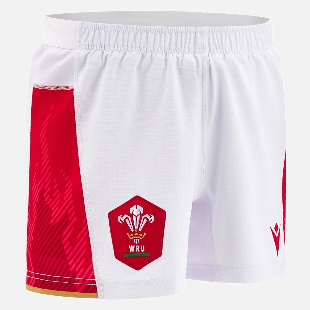 公式モデル 日本未発売