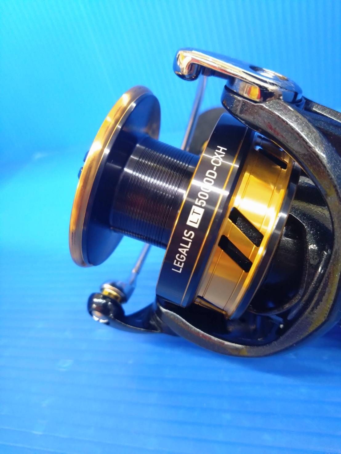 スピニング 海上釣堀