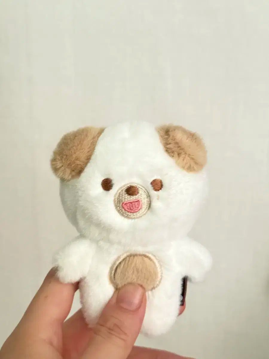 DAY6（デイシックス） プチあんさんぶるスターズ！！(あんスタ) 10cm ドール